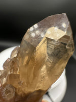 Natural Kundalini Citrine Lightbrary Crystal #12