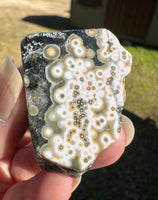 8th Vein Ocean Jasper Polished Free Form #6