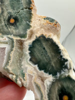 8th Vein Ocean Jasper Slab #49
