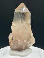 Kundalini Natural Citrine Crystal, D R Congo, Lightbrary #10 with Rainbow