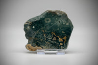 8th Vein Ocean Jasper Slab #32