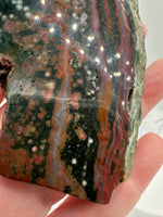 8th Vein Ocean Jasper Slab #55