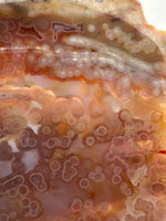 8th Vein Ocean Jasper Slab #66