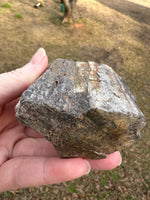 Petrified Wood Specimen #2