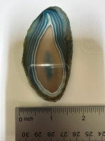 Dyed Blue/Teal Agate Slice #8
