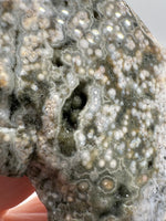 8th Vein Ocean Jasper Slab #16