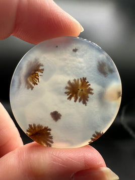 Scenic Dendritic Agate Cabochon #10