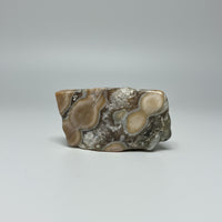 6th Vein Ocean Jasper Polished Freeform #46