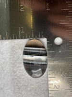 Owyhee Blue Opal Cabochon #5