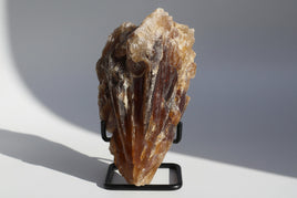 Natural Amber Calcite Raw Specimen UV Reactive #19