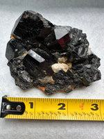 Uvite, Powers Farm, Pierrepont, New York