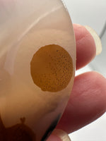Designer Dendritic Agate Cabochon #3 (with little heart)