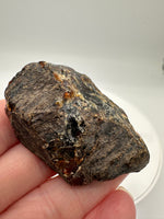 Madagascar Raw Amber Specimen #17