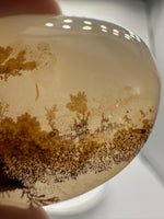 Designer Dendritic Agate Cabochon #6