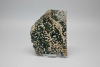8th Vein Ocean Jasper Slab #22