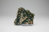 8th Vein Ocean Jasper Slab #50