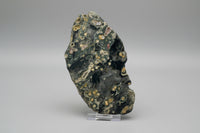8th Vein Ocean Jasper Slab #19