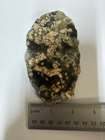 Rare 8th Vein Ocean Jasper Slab #3 –  Polished Orbicular Jasper – Madagascar