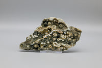 8th Vein Ocean Jasper Slab #30