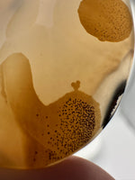 Designer Dendritic Agate Cabochon #3 (with little heart)