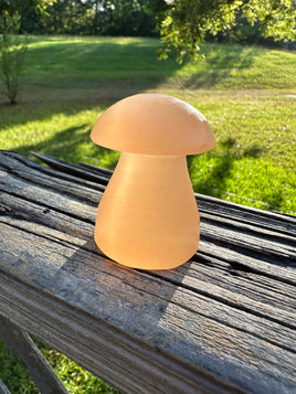 Peach Selenite Mushroom #10