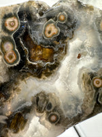 8th Vein Ocean Jasper Slab #38