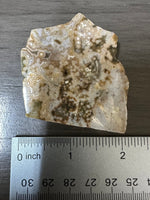 8th Vein Ocean Jasper Slab #68