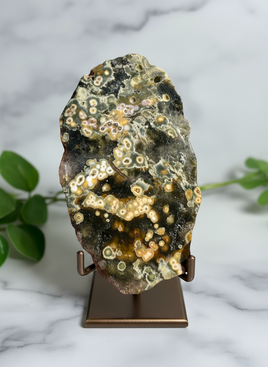 8th Vein Ocean Jasper Slab #3