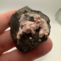 Rhodochrosite, Quartz, Pyrite, Santa Eulalia – Chihuahua, Mexico