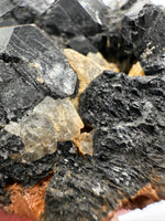 Uvite, Powers Farm, Pierrepont, New York