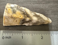 8th Vein Ocean Jasper Polished Free Form #13