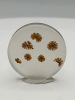 Scenic Dendritic Agate Cabochon #3