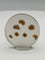 Scenic Dendritic Agate Cabochon #3