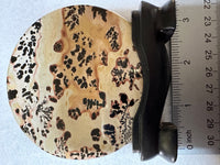 Natural Picture Jasper Slab with Stand #8