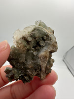 Chlorite Included Himalaya Quartz Crystal from Pakistan