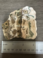8th Vein Ocean Jasper Slab #62