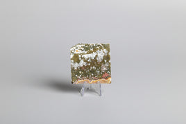 Ocean Jasper Free-form #1