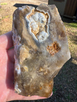 Savannah River Agate Specimen 1f