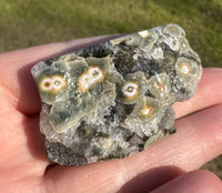 8th Vein Ocean Jasper Polished Free Form #12