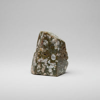 Ocean Jasper Free-form #17