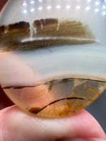 Designer Dendritic Agate Cabochon #4