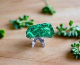 Polished Malachite #11