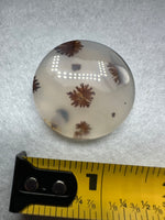 Scenic Dendritic Agate Cabochon #10