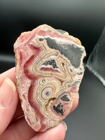 Rhodochrosite Slab #9 – Pink Banded Bullseye Orb – Polished Collector Specimen