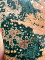8th Vein Ocean Jasper Slab #44