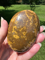 Large Ocean Jasper Palm Stone