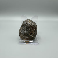 Raw Amber Specimen #10