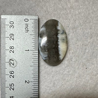 Owyhee Blue Opal Cabochon #15