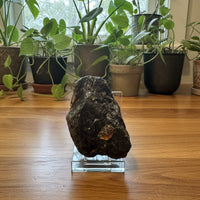 Raw Amber Specimen #2