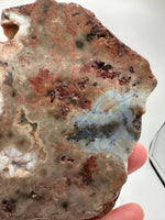 8th Vein Ocean Jasper Slab #12
